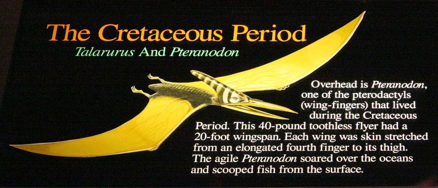 Cretaceous Period